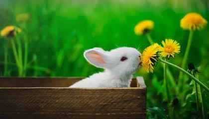 九游登录入口：开启极致游戏体验的新入口